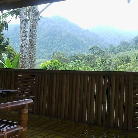 Batu Kapal Jungle Houses Hotel Berastagi Zewnętrze zdjęcie