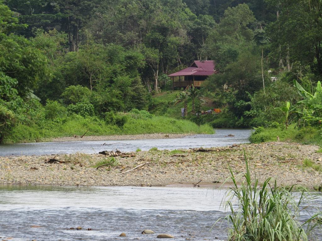 Batu Kapal Jungle Houses Hotel Berastagi Pokój zdjęcie