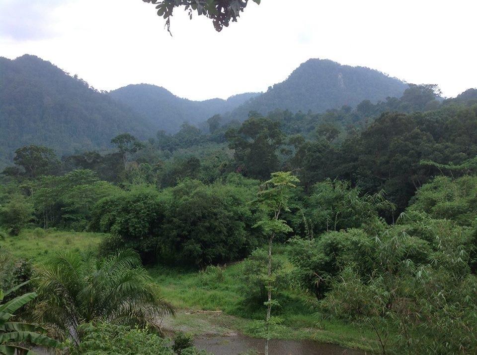 Batu Kapal Jungle Houses Hotel Berastagi Zewnętrze zdjęcie