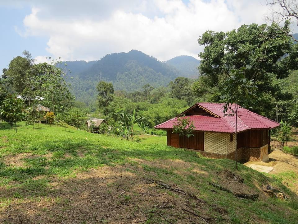 Batu Kapal Jungle Houses Hotel Berastagi Zewnętrze zdjęcie